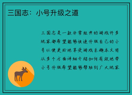 三国志：小号升级之道